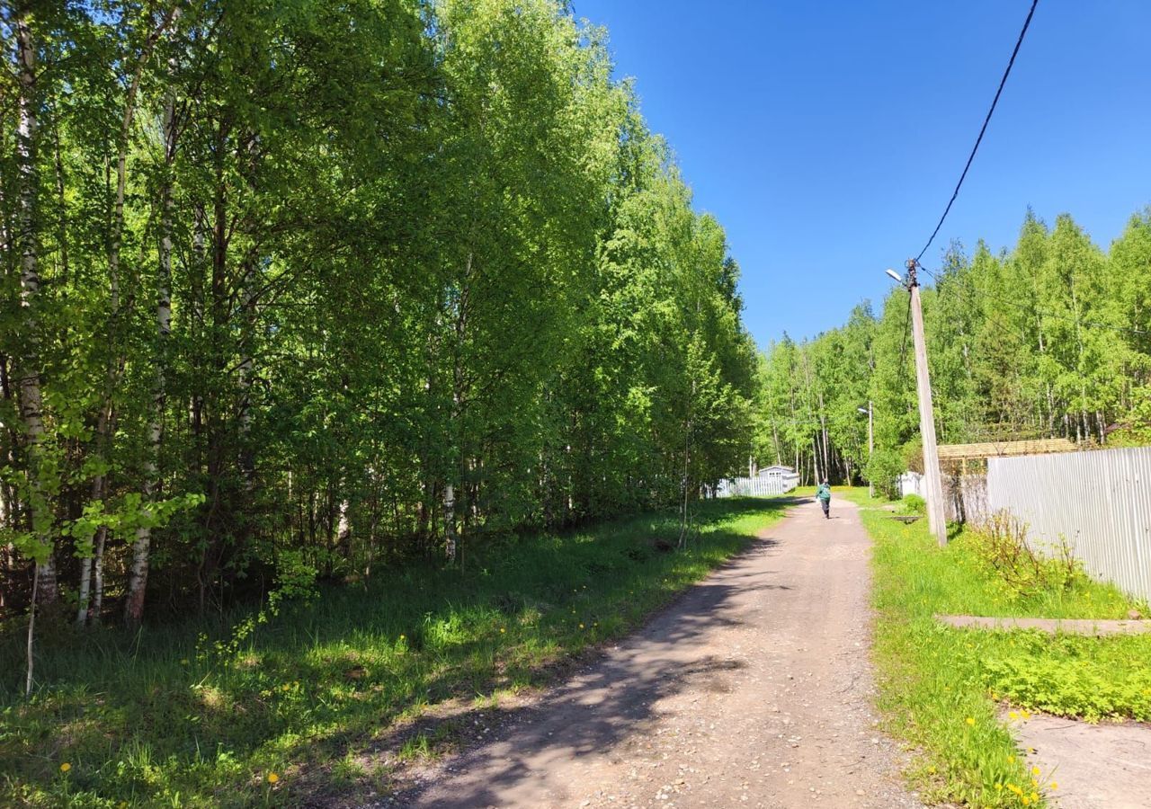 земля направление Ярославское (северо-восток) ш Ярославское 9816 км, муниципальное образование Краснопламенское, СНТ Горки, Владимирская обл., Александровский р-н, Богородское фото 1