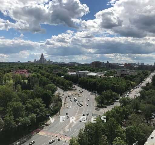 метро Лужники ш Воробьёвское 4 муниципальный округ Раменки фото