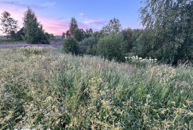 земля р-н Прионежский с Деревянное Деревянское сельское поселение, Петрозаводск фото 4