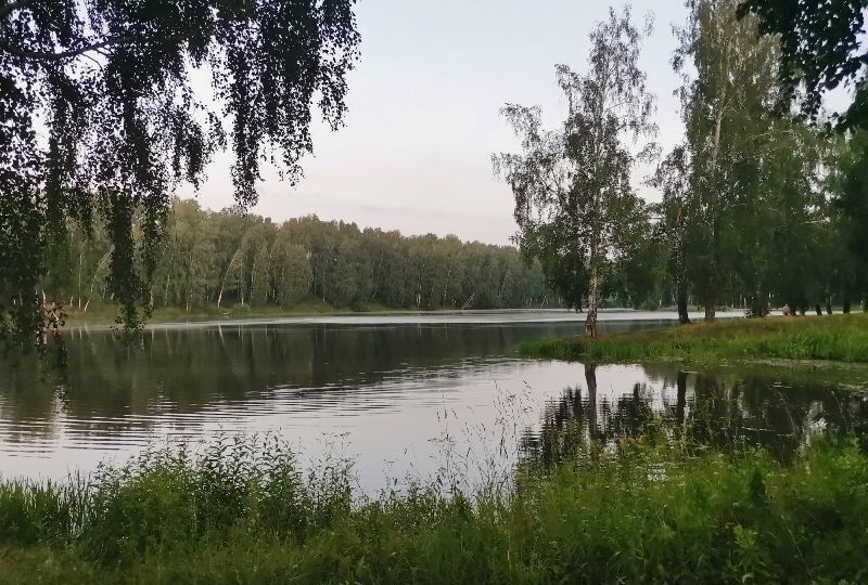 дом р-н Новосибирский Станционный сельсовет, станция Мочище, Полевая ул, Сокур фото 19