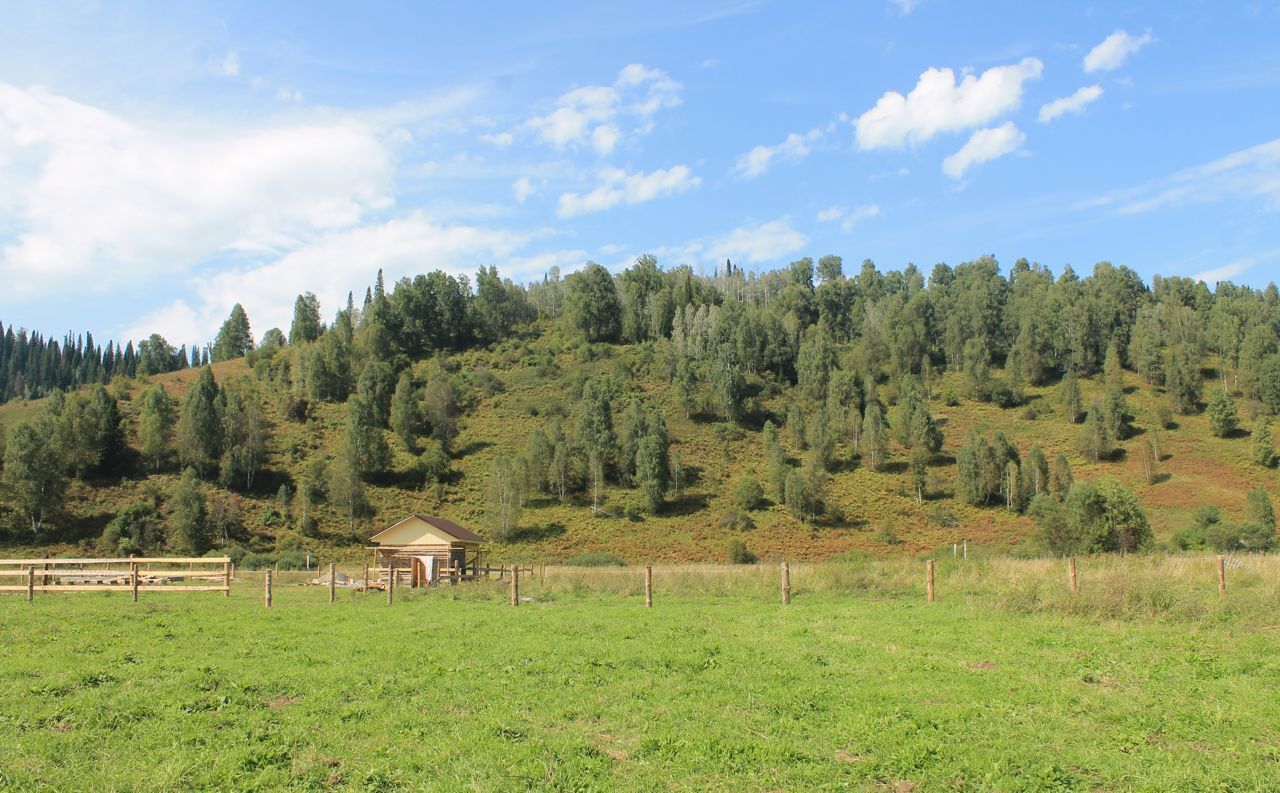 земля р-н Чойский с Левинка Горно-Алтайск фото 6