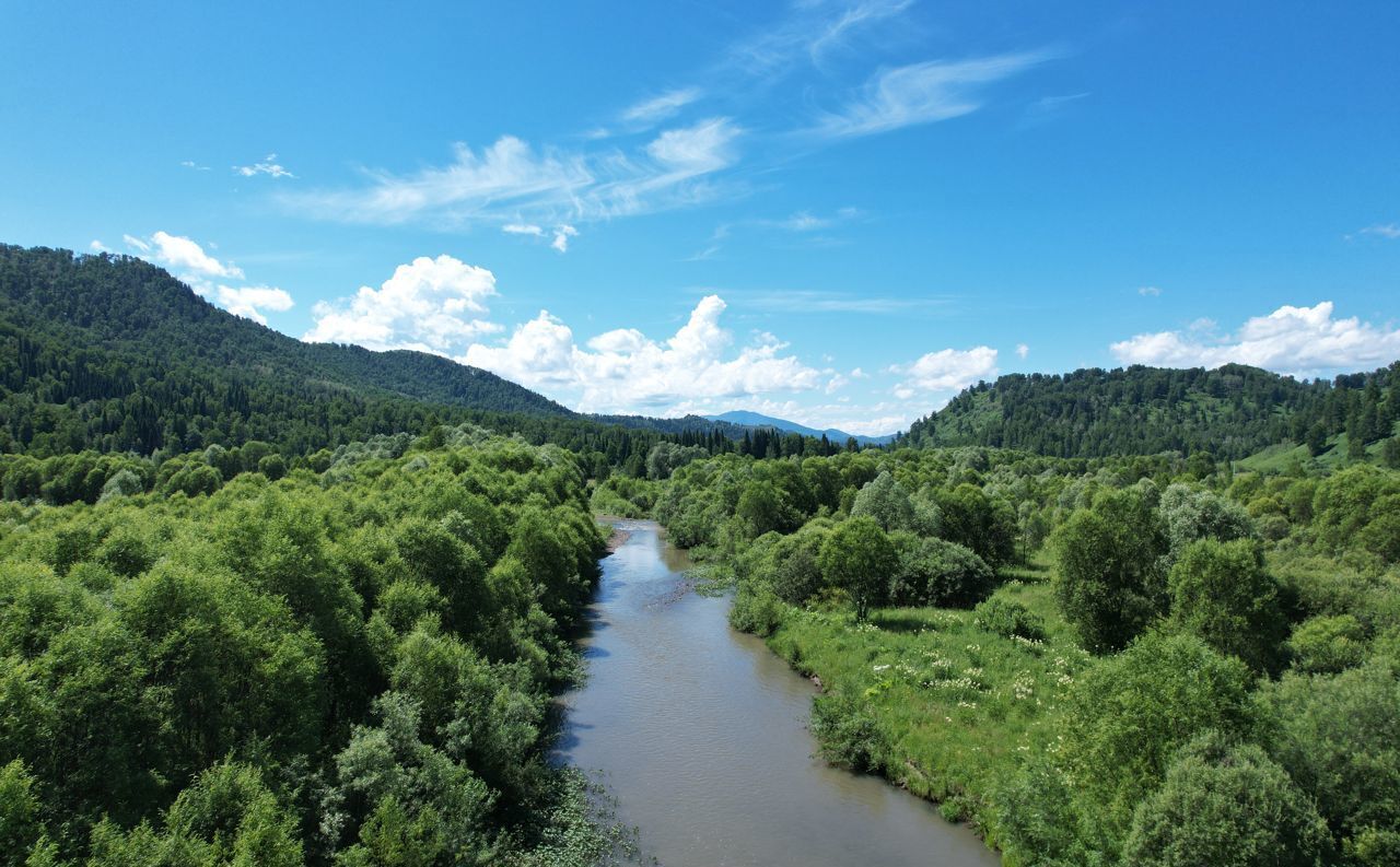 земля р-н Чойский с Левинка Горно-Алтайск фото 5