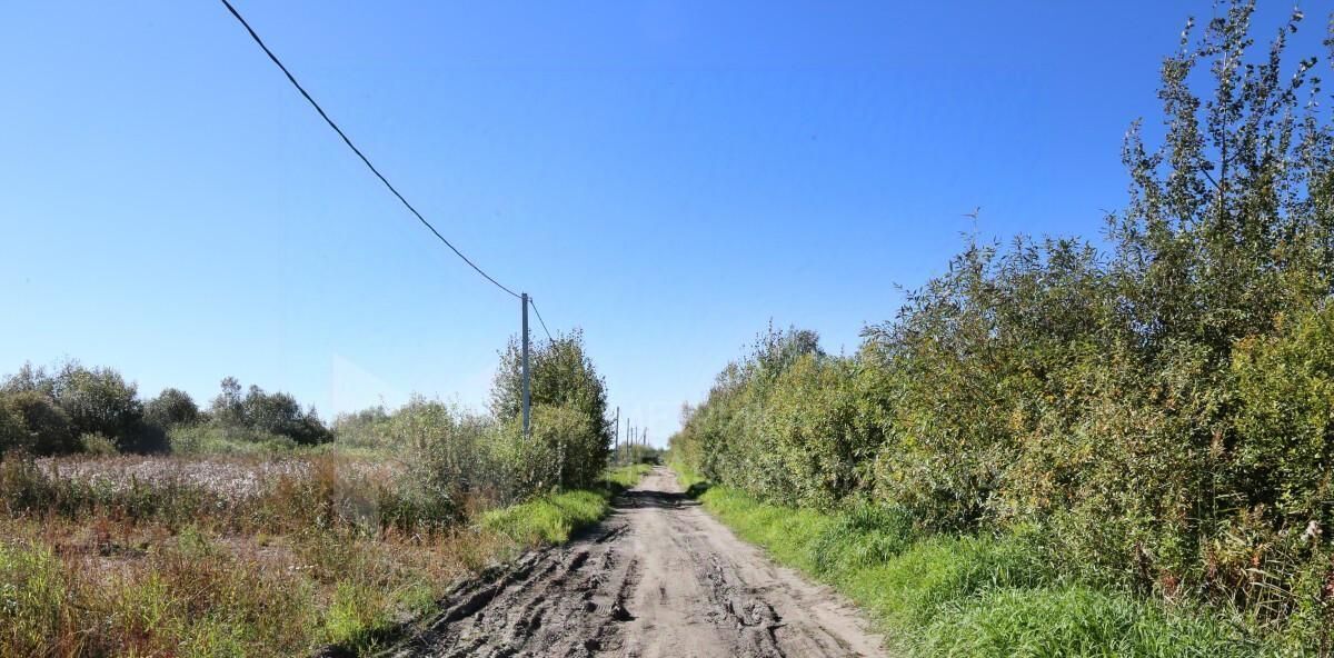 земля г Тюмень р-н Центральный снт Большое Царево-1 ТСН фото 17