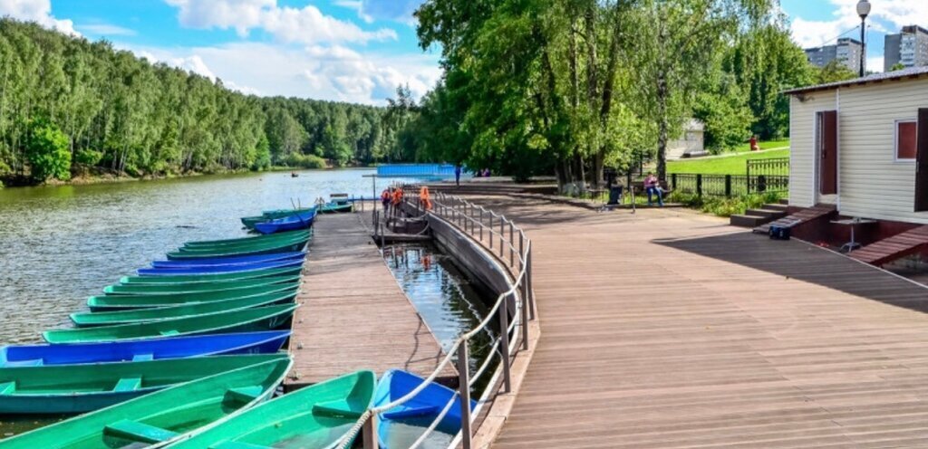 квартира г Москва метро Тропарёво ул Академика Виноградова 1 фото 20