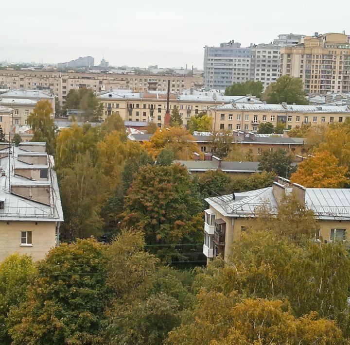 квартира г Санкт-Петербург метро Ладожская пр-кт Металлистов 48 фото 14