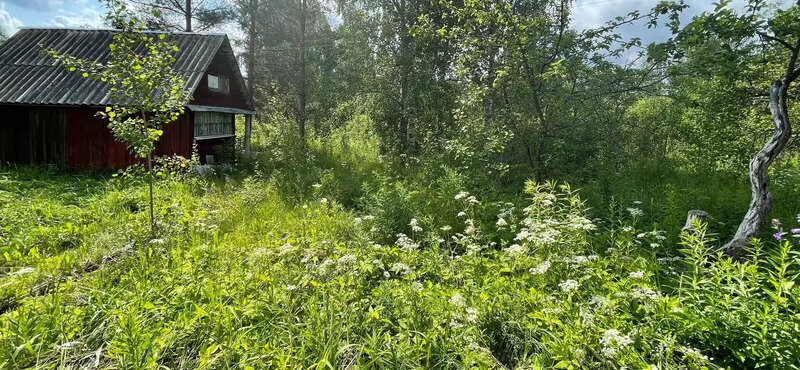 дом р-н Гатчинский массив Красницы снт Глобус садоводческое товарищество фото 6