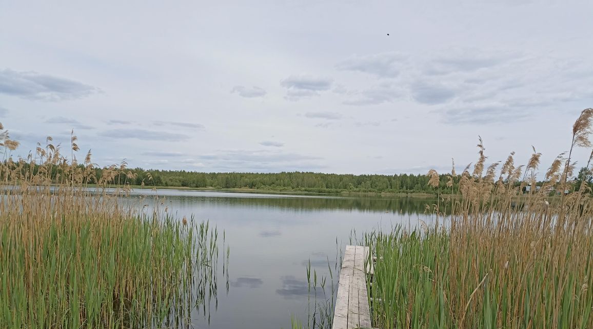 земля р-н Клепиковский д Прасковьино Болоньское с/пос, 14 фото 4