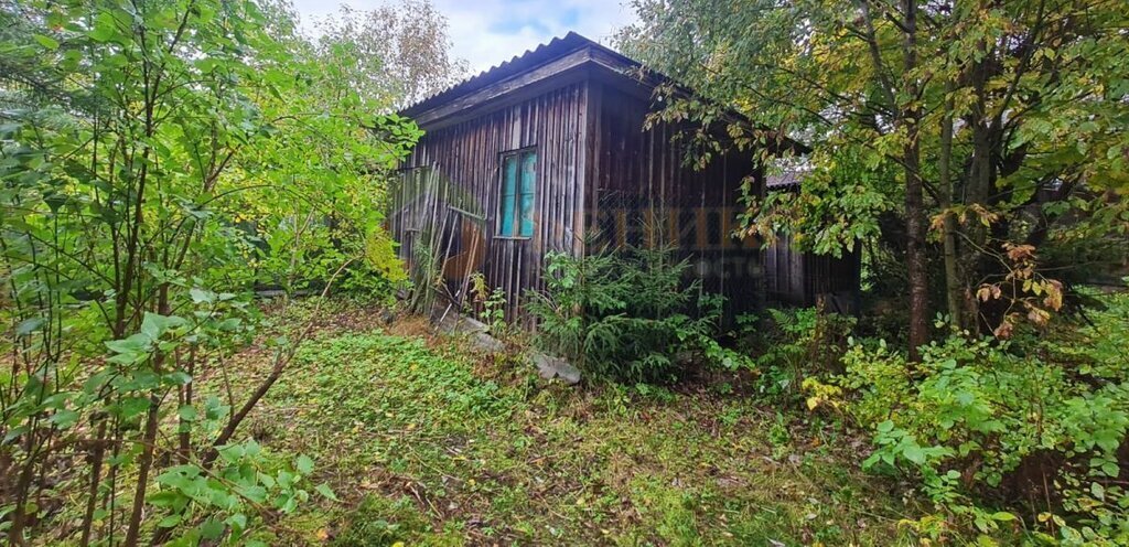 земля р-н Выборгский Рощинское городское поселение, садовое товарищество Лебяжье фото 4