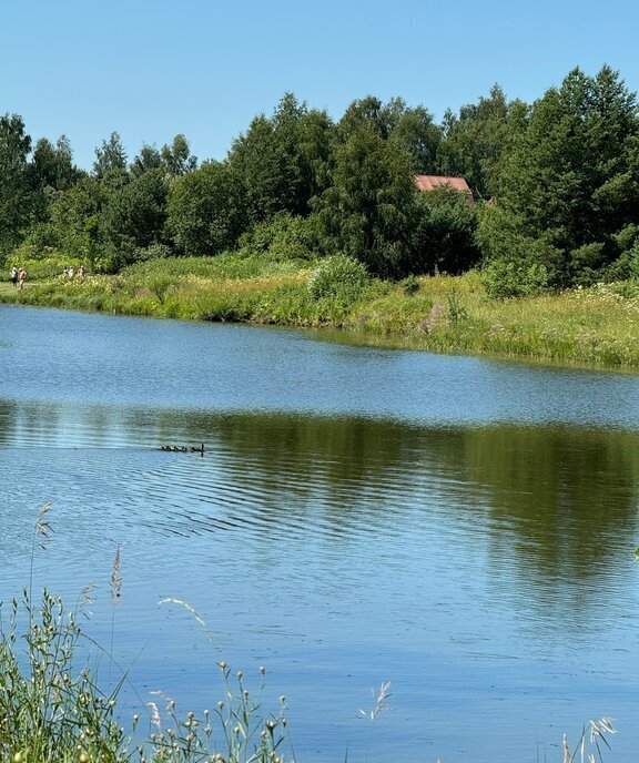 дом г Тула Страховское, коттеджный посёлок Озёрный, Заокский район фото 13