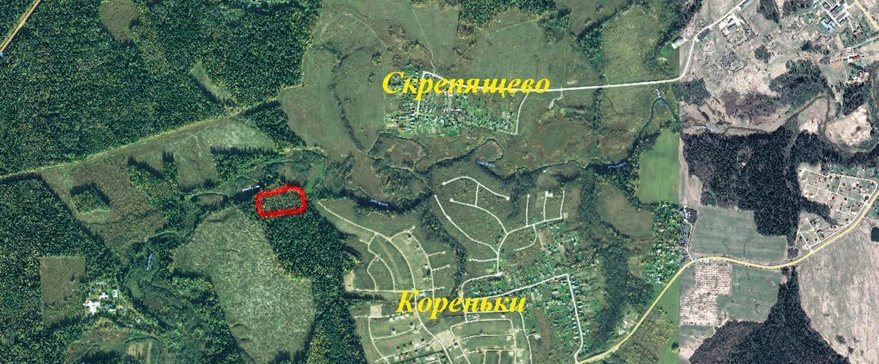 земля городской округ Клин д Скрепящево 57 км, Новопетровское, Ленинградское шоссе фото 4