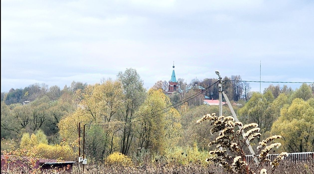 земля г Серпухов Поселок Палихово ТСН, ул. Ореховая фото 1