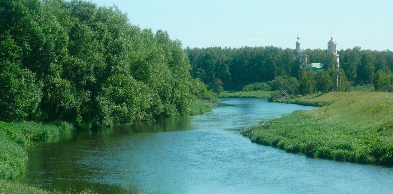 земля городской округ Богородский Богородск Форест кп фото 1