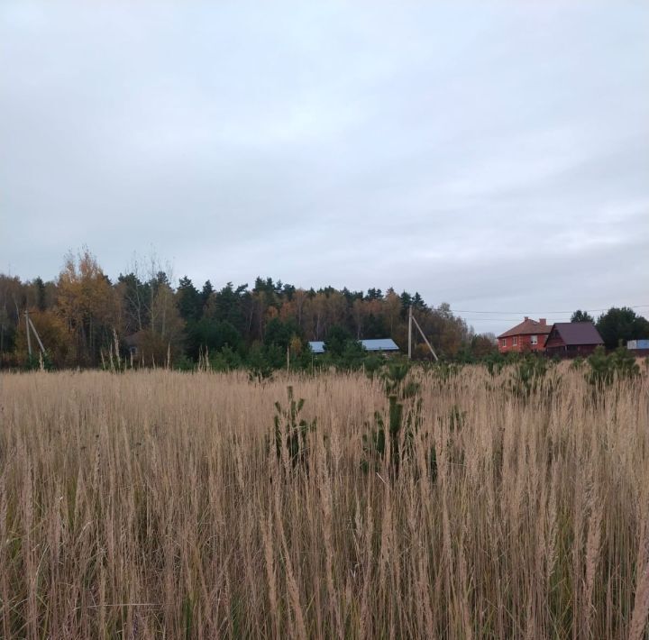 земля городской округ Коломенский д Зиновьево Коломна городской округ фото 3