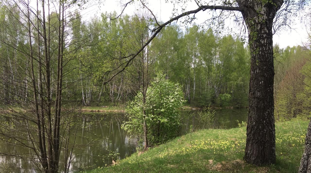 земля р-н Бабынинский д Альшаны Село Бабынино с/пос фото 2