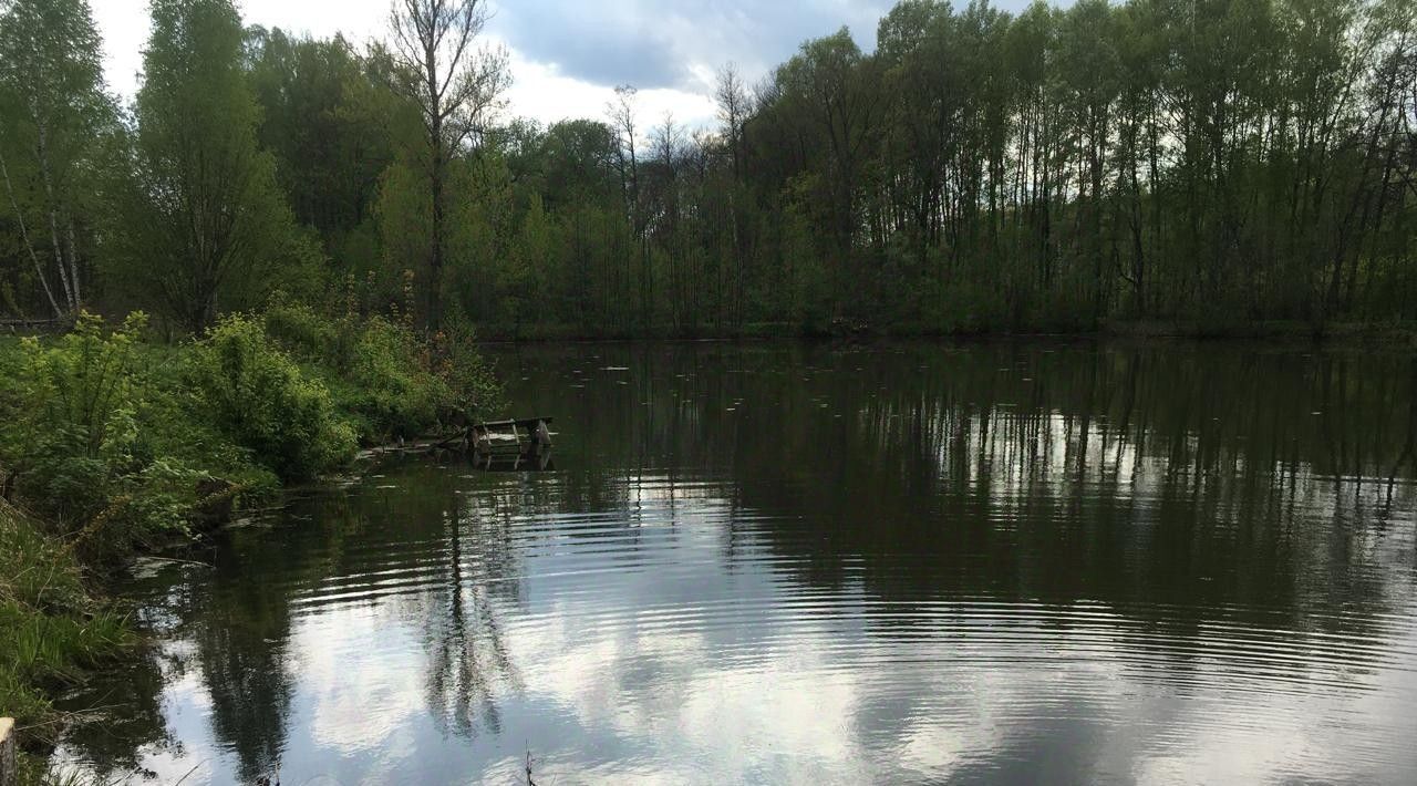 земля р-н Бабынинский д Альшаны Село Бабынино с/пос фото 4