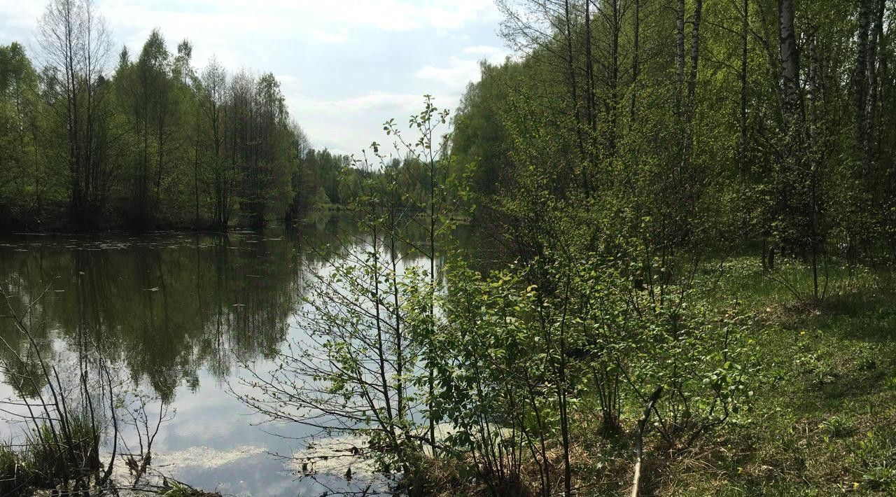 земля р-н Бабынинский д Альшаны Село Бабынино с/пос фото 20