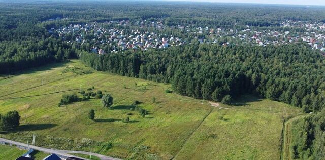 земля Богородск Форест кп фото