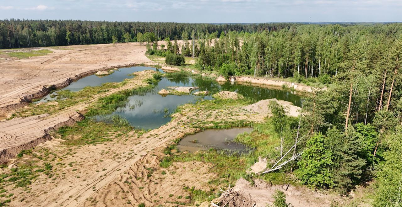 земля городской округ Богородский г Электроугли 9745 км, коттеджный пос. Восточная д, Носовихинское шоссе фото 27