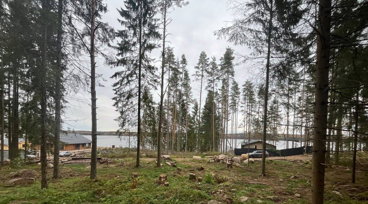 земля р-н Выборгский Приморское городское поселение, Лесная Ривьера кп, 60 фото 6