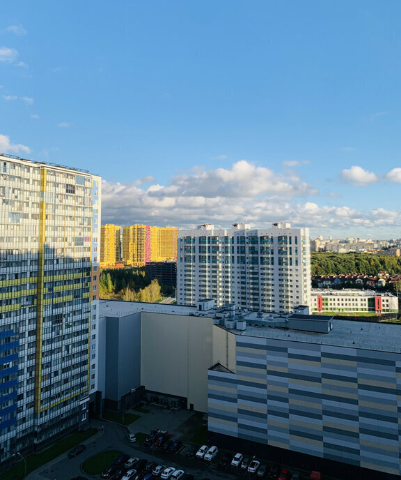 квартира г Санкт-Петербург метро Комендантский Проспект ул Плесецкая 10 ЖК «Полис на Комендантском» округ Юнтолово фото 13