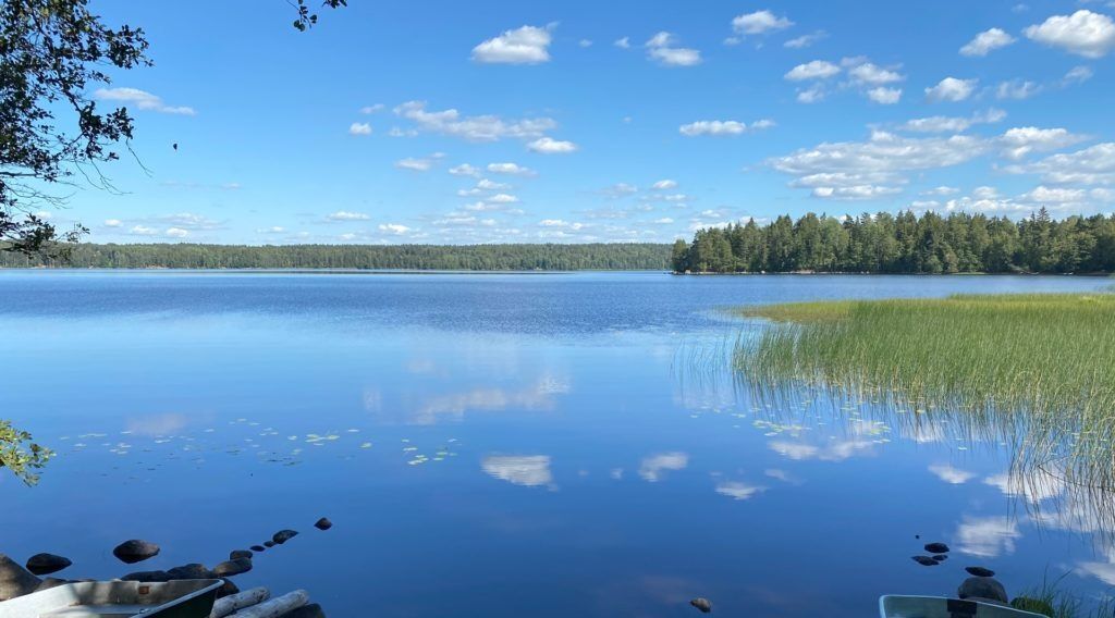 земля р-н Выборгский Приморское городское поселение, Лесная Ривьера кп, 75 фото 1