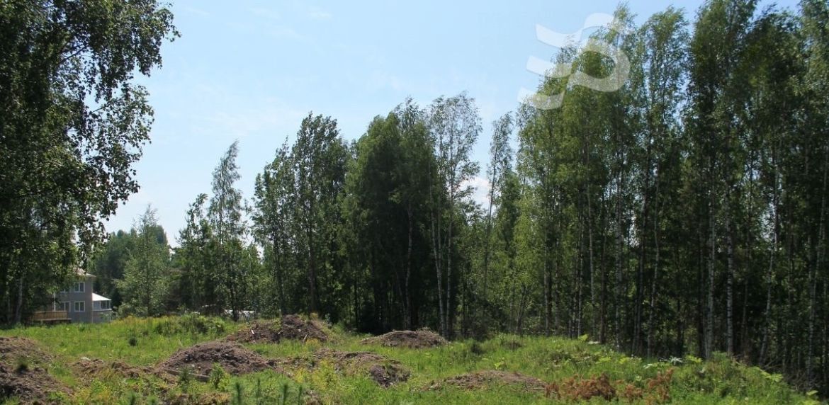 земля р-н Всеволожский Бугровское городское поселение, Лес-поле кп, Парнас фото 2