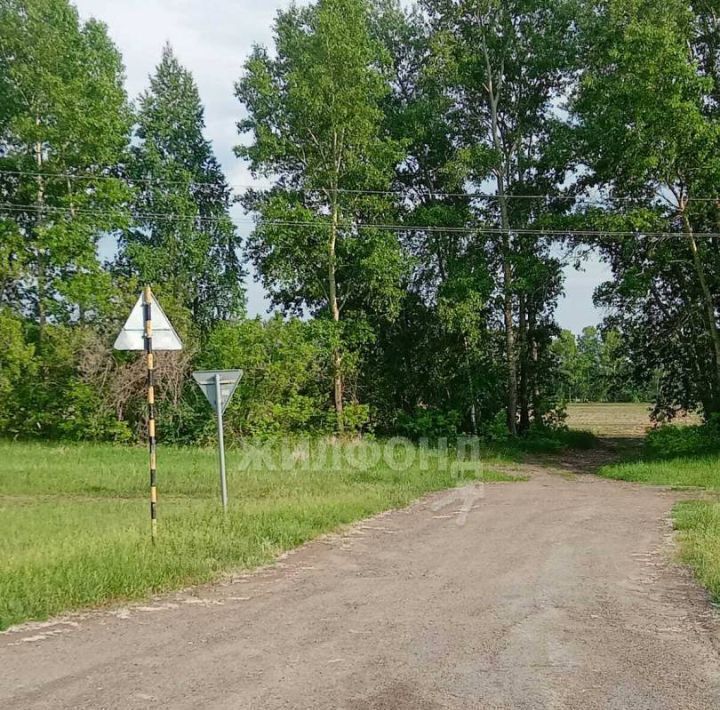 земля р-н Ордынский с Вагайцево ул Южная фото 3