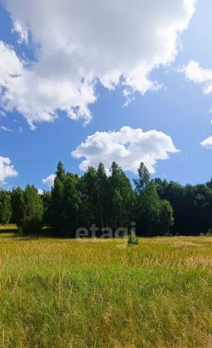 земля г Калуга д Желыбино фото 1