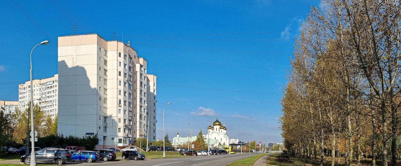 квартира г Москва метро Бунинская аллея ул Академика Семёнова 3 фото 44