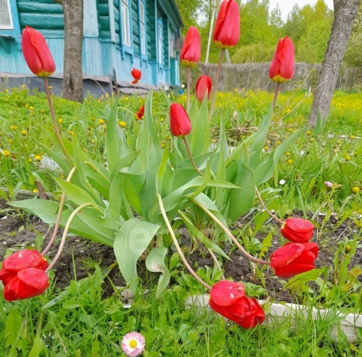 дом р-н Ферзиковский п Желябужский ул Школьная 37 с пос, Ястребовка фото 29