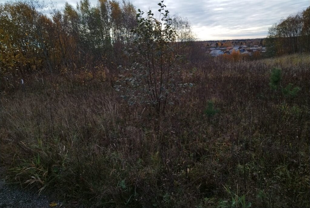 земля р-н Всеволожский д Верхние Осельки Парнас, Лесколовское сельское поселение фото 3