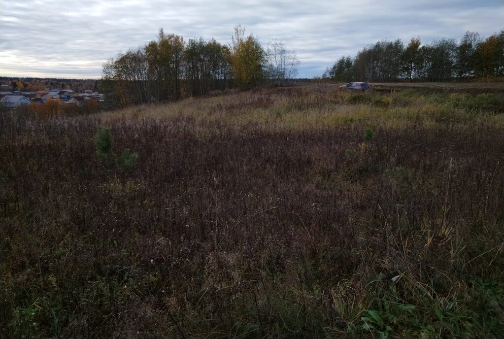 земля р-н Всеволожский д Верхние Осельки Парнас, Лесколовское сельское поселение фото 5