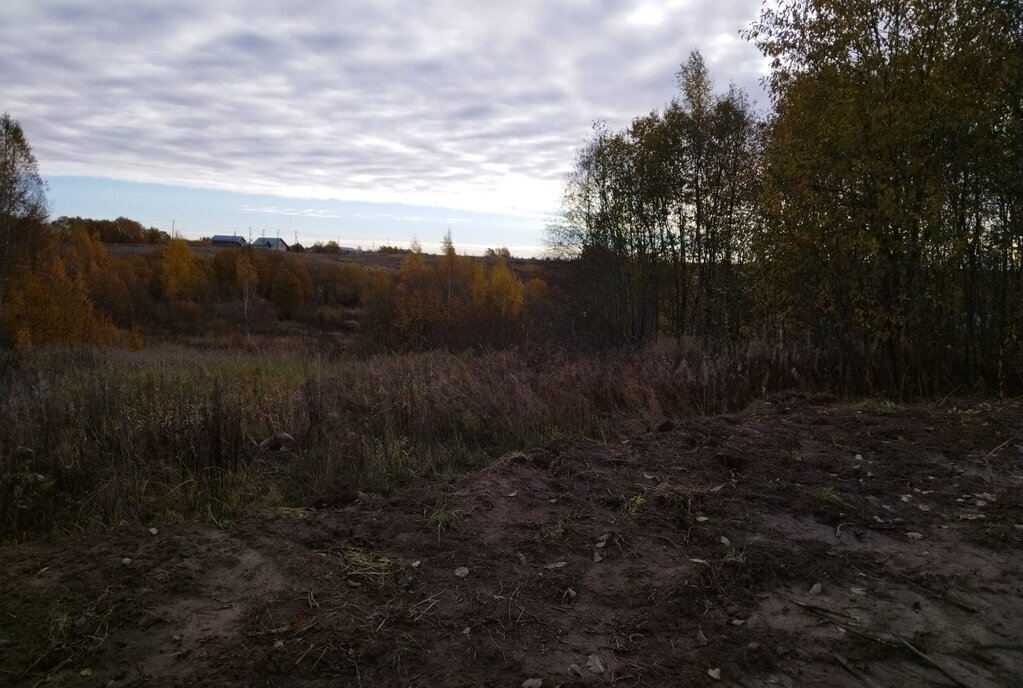 земля р-н Всеволожский д Верхние Осельки Парнас, Лесколовское сельское поселение фото 16