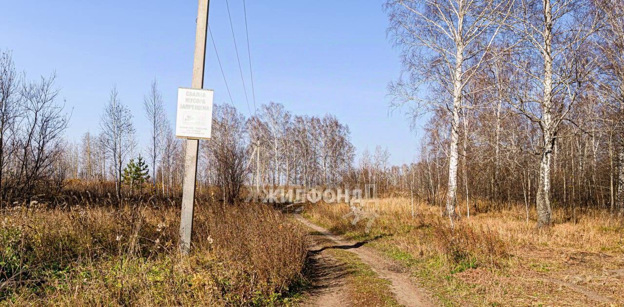 земля р-н Новосибирский снт тер.Звездочка Плотниковский сельсовет, пос. Михайловский фото 3