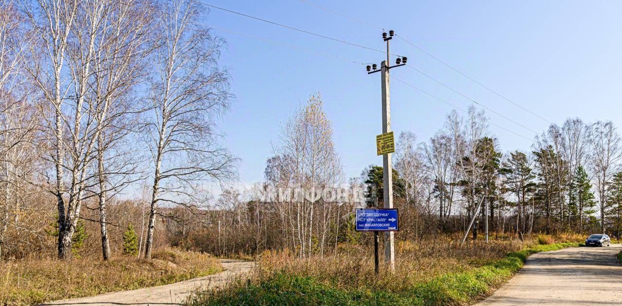 земля р-н Новосибирский снт тер.Звездочка Плотниковский сельсовет, пос. Михайловский фото 4