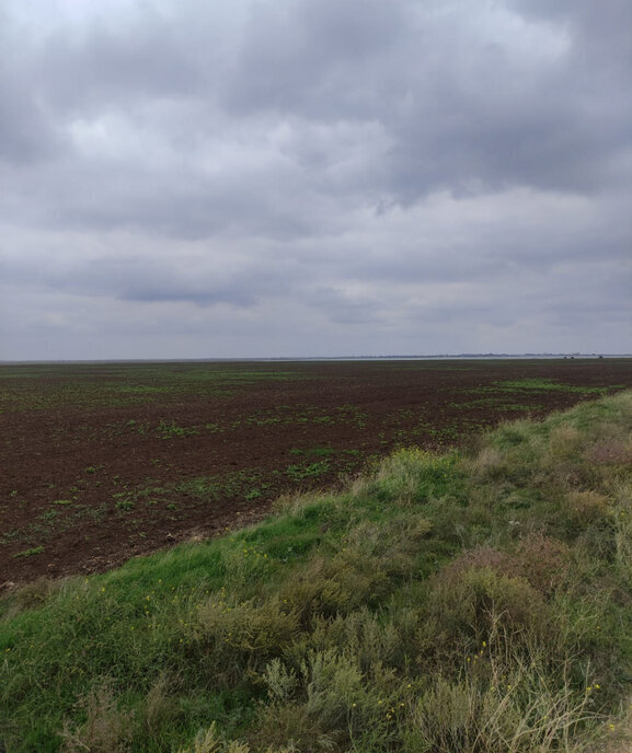 земля р-н Сакский с Крыловка Штормовское сельское поселение фото 14