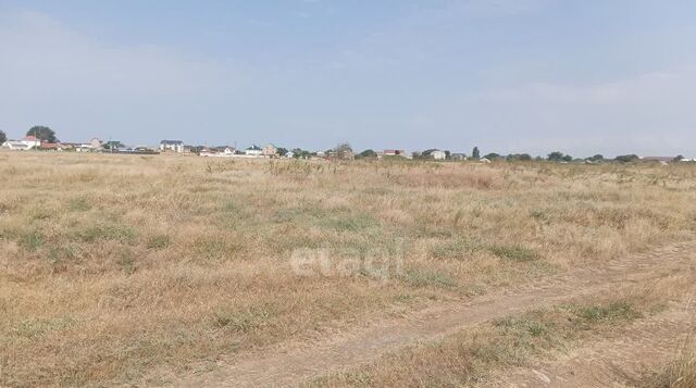 пос, Вишня-96 садоводческое потребительское товарищество, ул. Шоссейная, Ленинский район фото