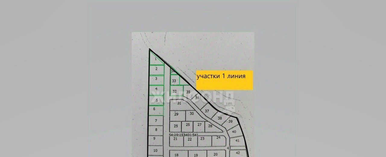 земля р-н Новосибирский снт тер.Звездочка Плотниковский сельсовет, пос. Михайловский фото 7