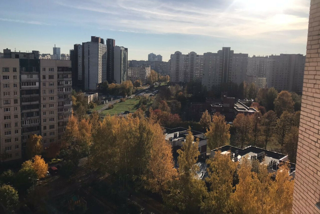 квартира г Санкт-Петербург метро Приморская ул Мичманская 4 фото 13