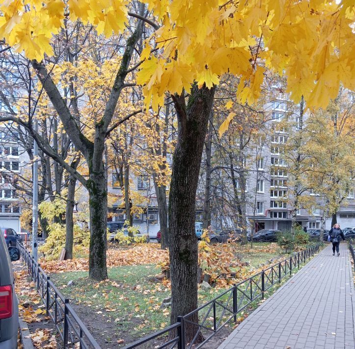 квартира г Санкт-Петербург метро Ленинский Проспект пр-кт Ленинский 128 фото 15