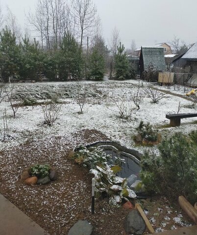 снт Взлет Лесной Городок, 9-я улица фото