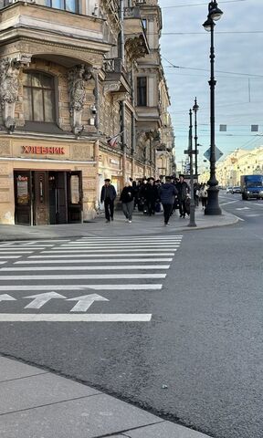 метро Владимирская ул Коломенская 1/15 фото