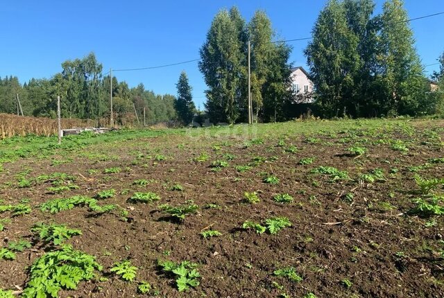 земля г Сыктывкар фото