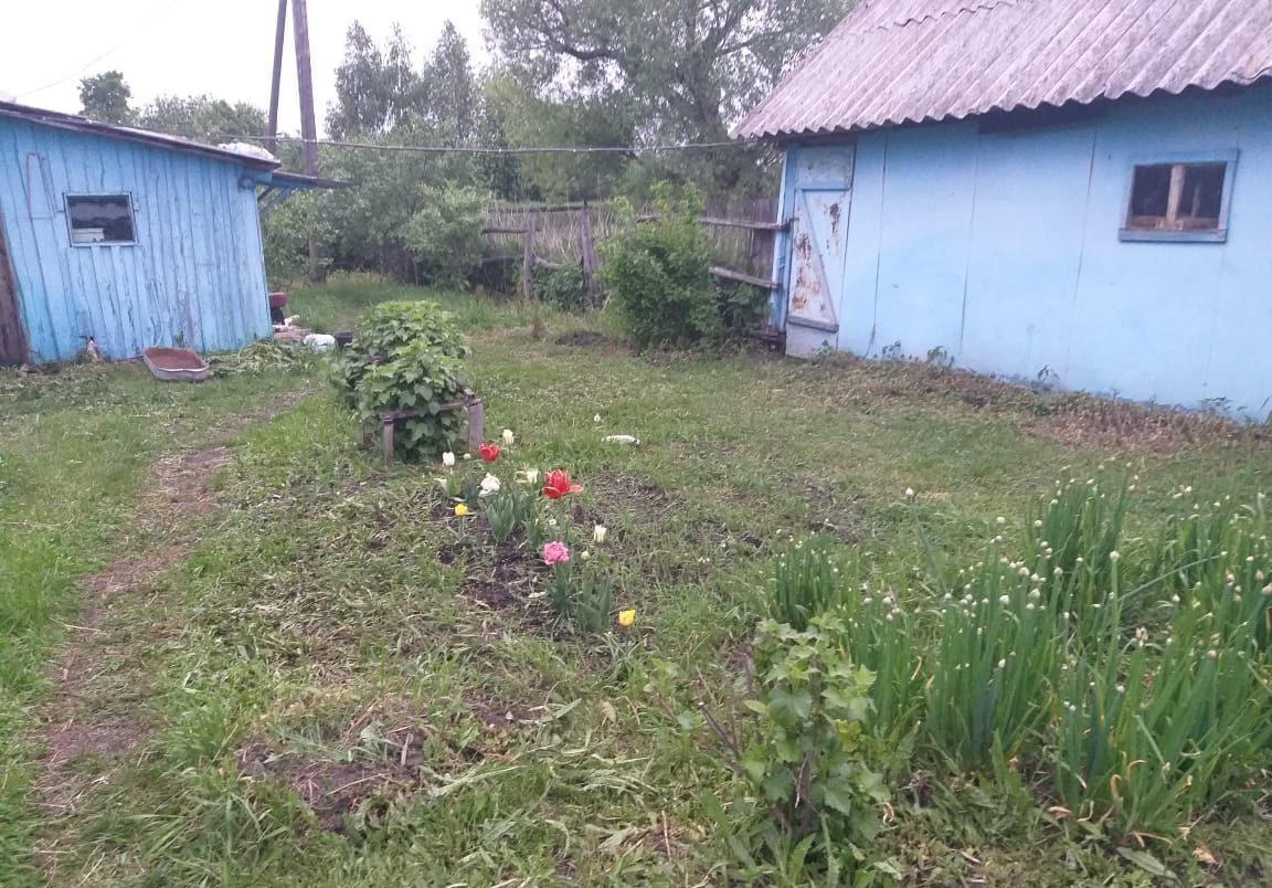 дом р-н Рузаевский с Нижний Урледим Пензенская область, Исса фото 3