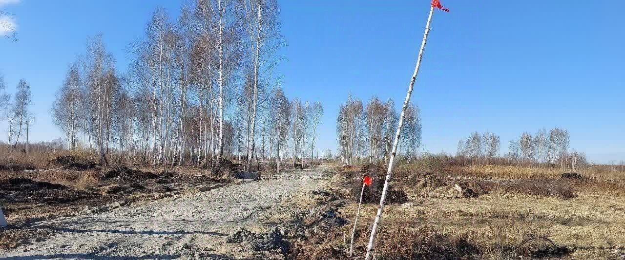 земля р-н Черемховский д Тюмень Парфеновское муниципальное образование, 11 фото 12