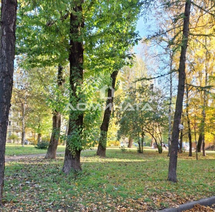 квартира г Санкт-Петербург метро Новочеркасская пр-кт Новочеркасский 46 фото 15