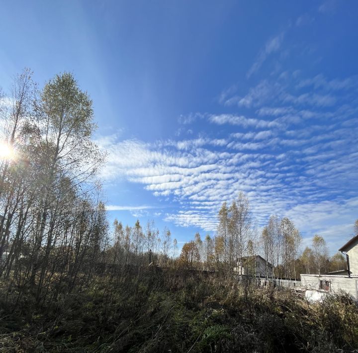 земля городской округ Волоколамский Вернисаж кп, 48 фото 1