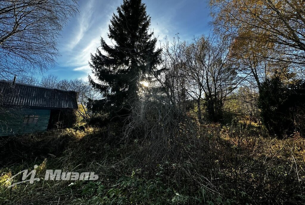 земля городской округ Мытищи д Пчелка 11, Лобня фото 4