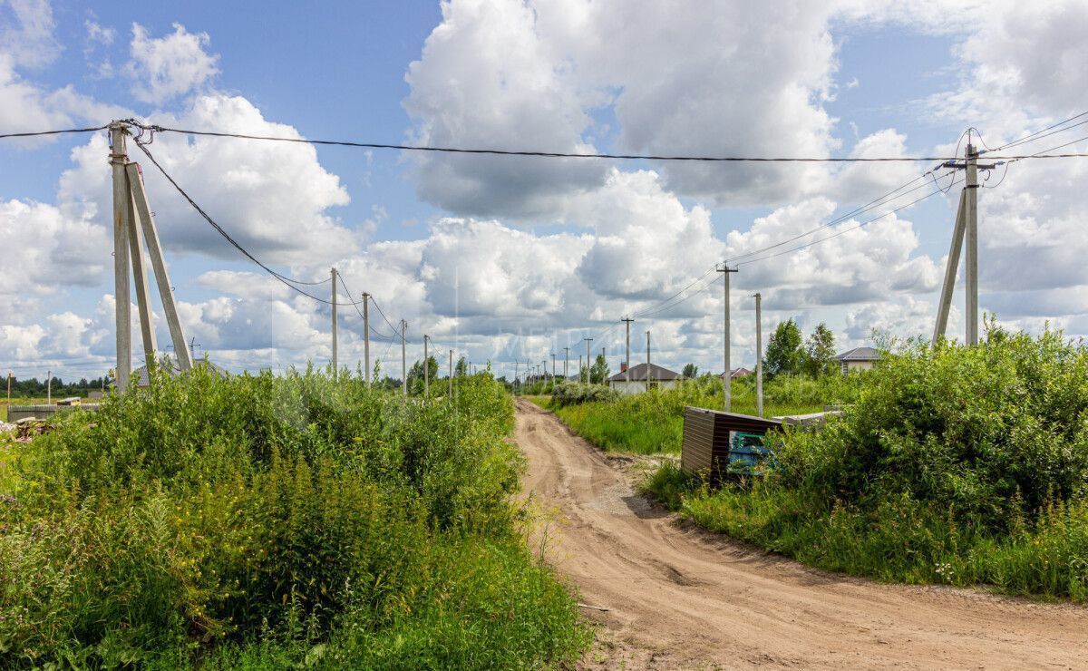 земля г Тюмень р-н Центральный общество Дубок, садовое фото 22