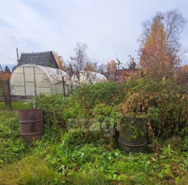 дом р-н Емельяновский снт Электрон сельсовет, Элитовский фото 11